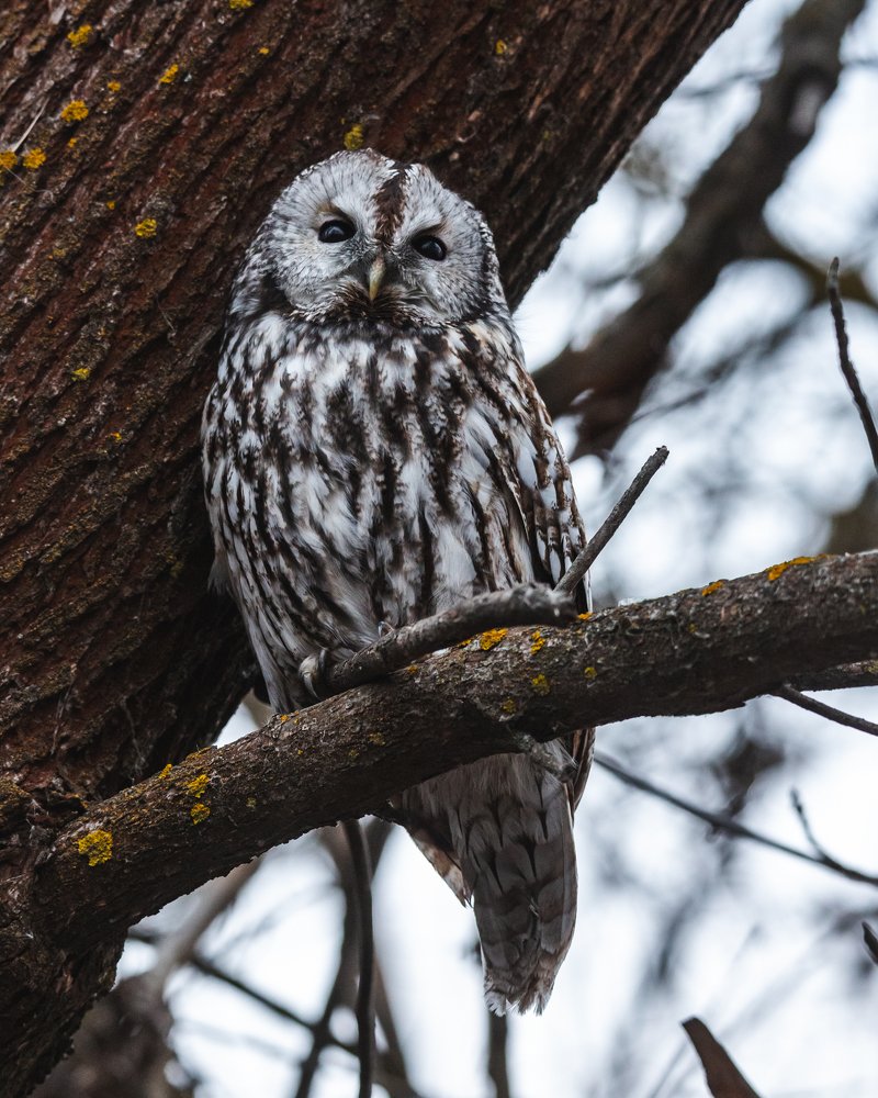 Photograph by Алексей Кашин