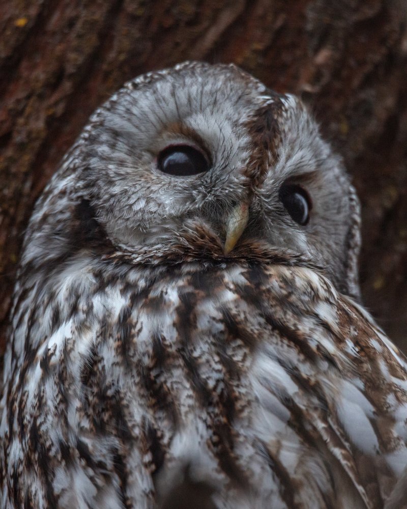 Photograph by Алексей Кашин