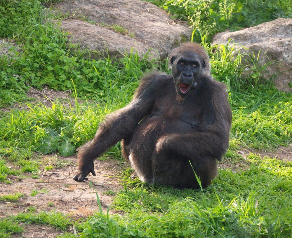 ох,уж эти фотографы