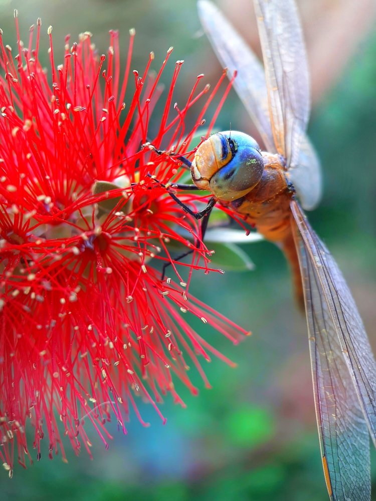 Photograph by Наталья Жданова