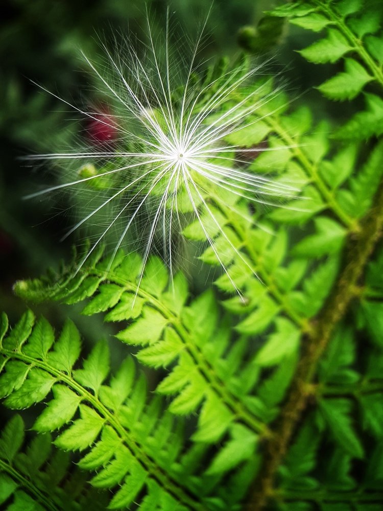 Photograph by Наталья Жданова