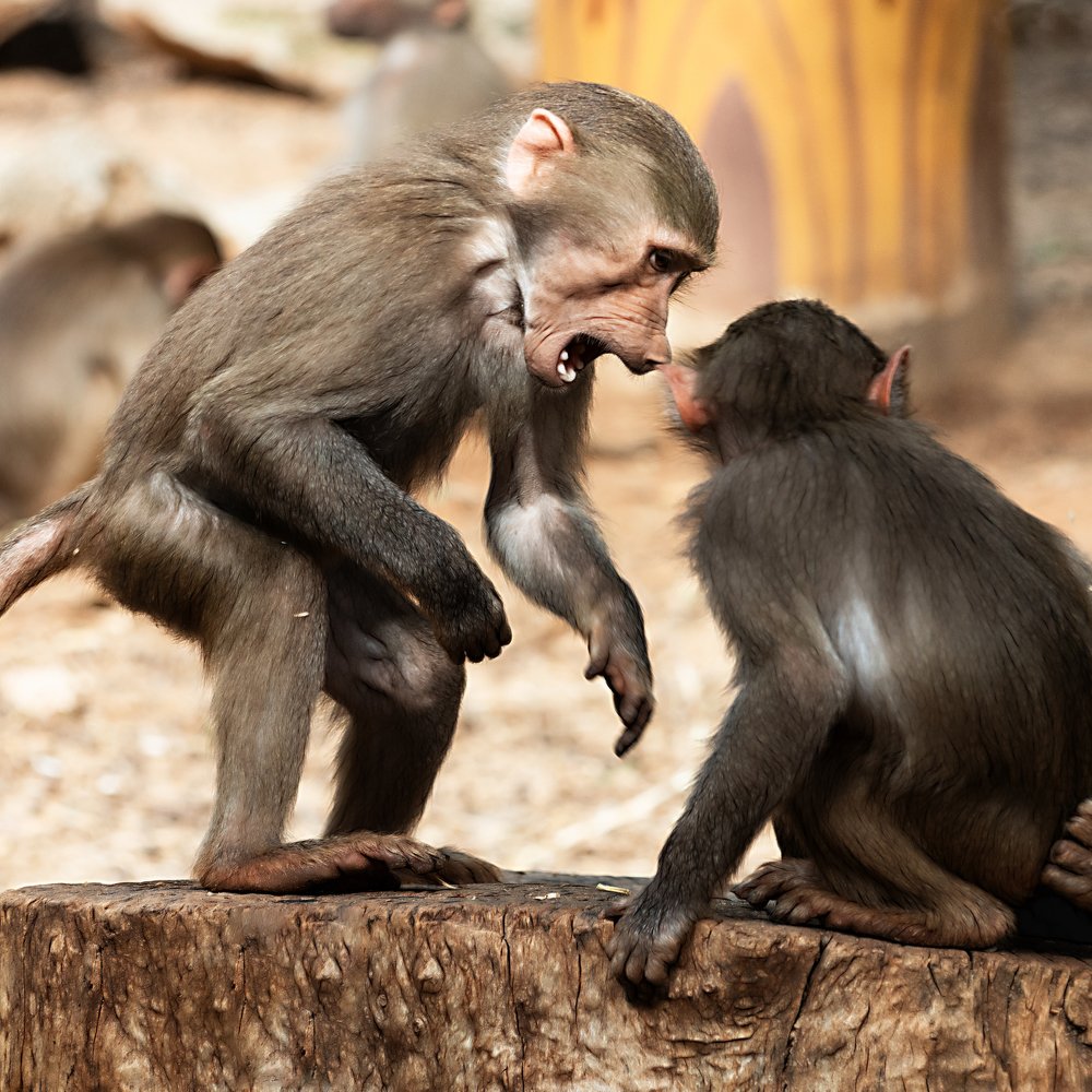 Photograph by David Lerer