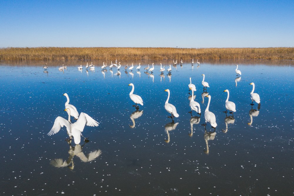 Photograph by Алексей Кашин