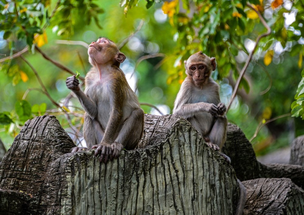 Photograph by Виктор ЛЬГОТИН