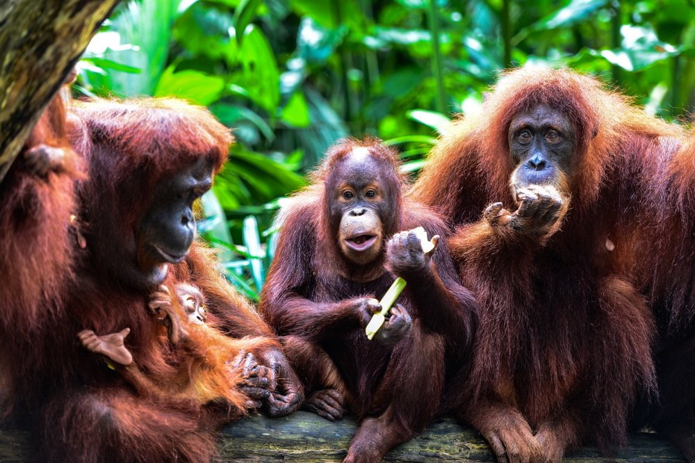 Photograph by Виктор ЛЬГОТИН