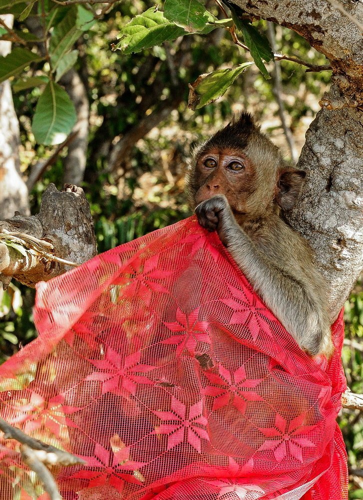 Photograph by Виктор ЛЬГОТИН