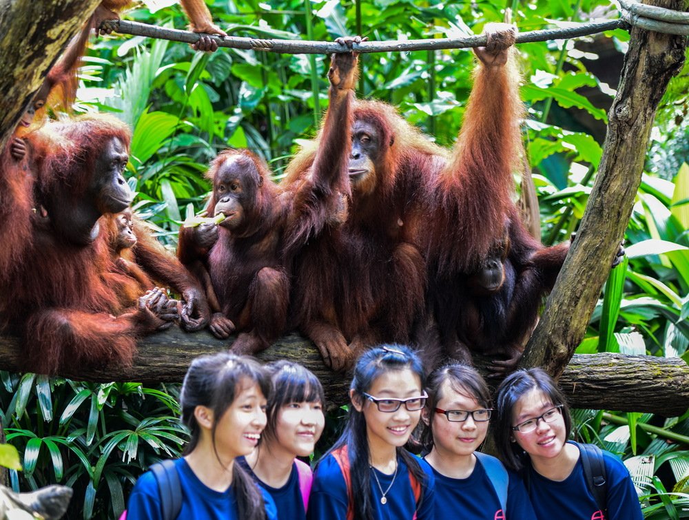 Photograph by Виктор ЛЬГОТИН