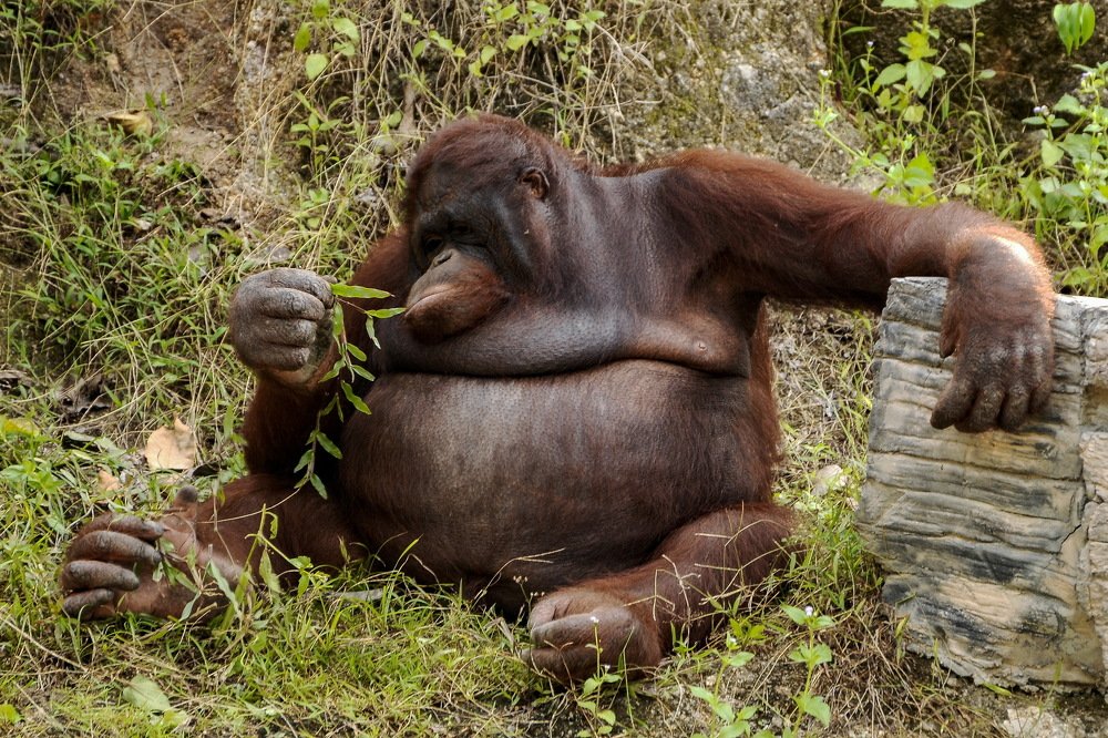 Photograph by Виктор ЛЬГОТИН