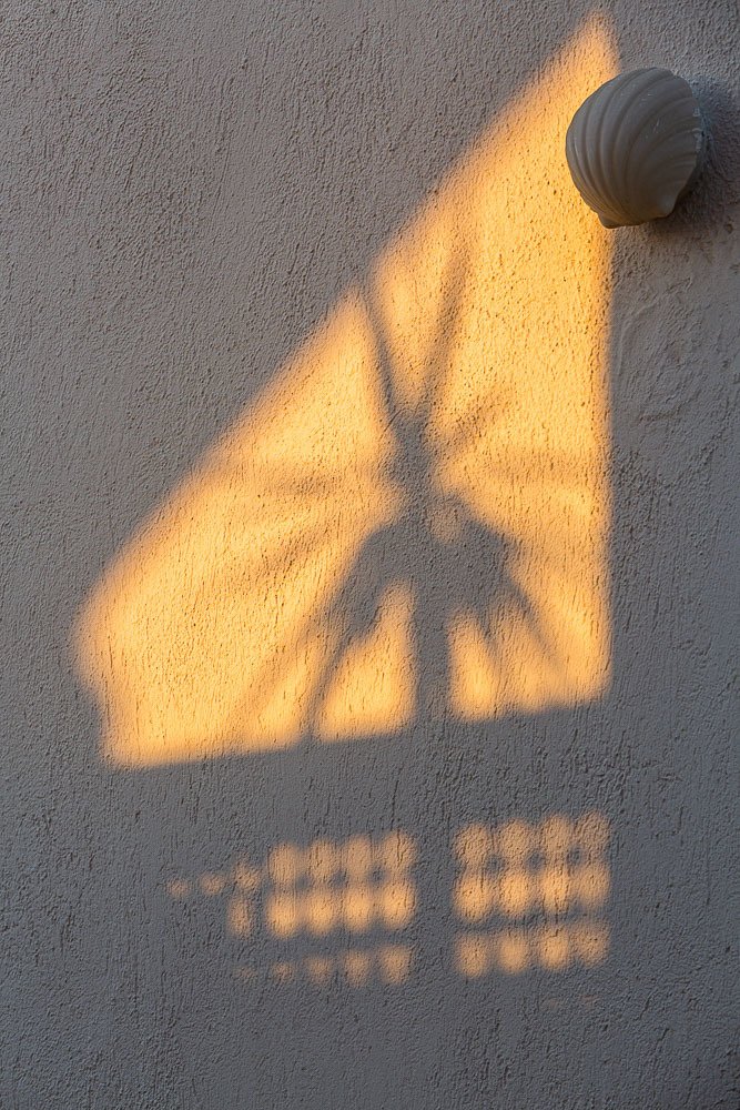 Photograph by Eriks Zilbalodis