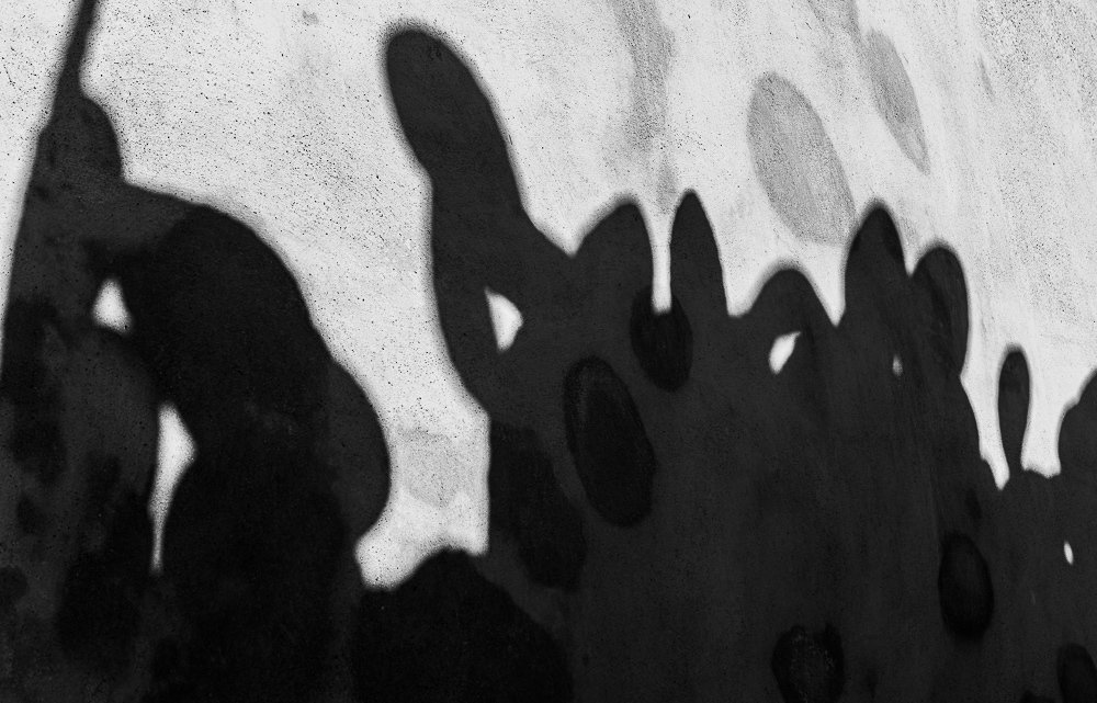 Photograph by Eriks Zilbalodis