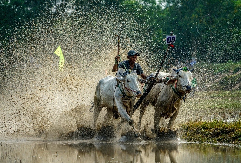 Photograph by Hong Nguyen