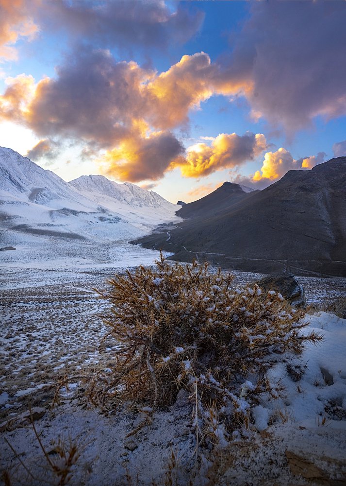 Фотография автора majid arab