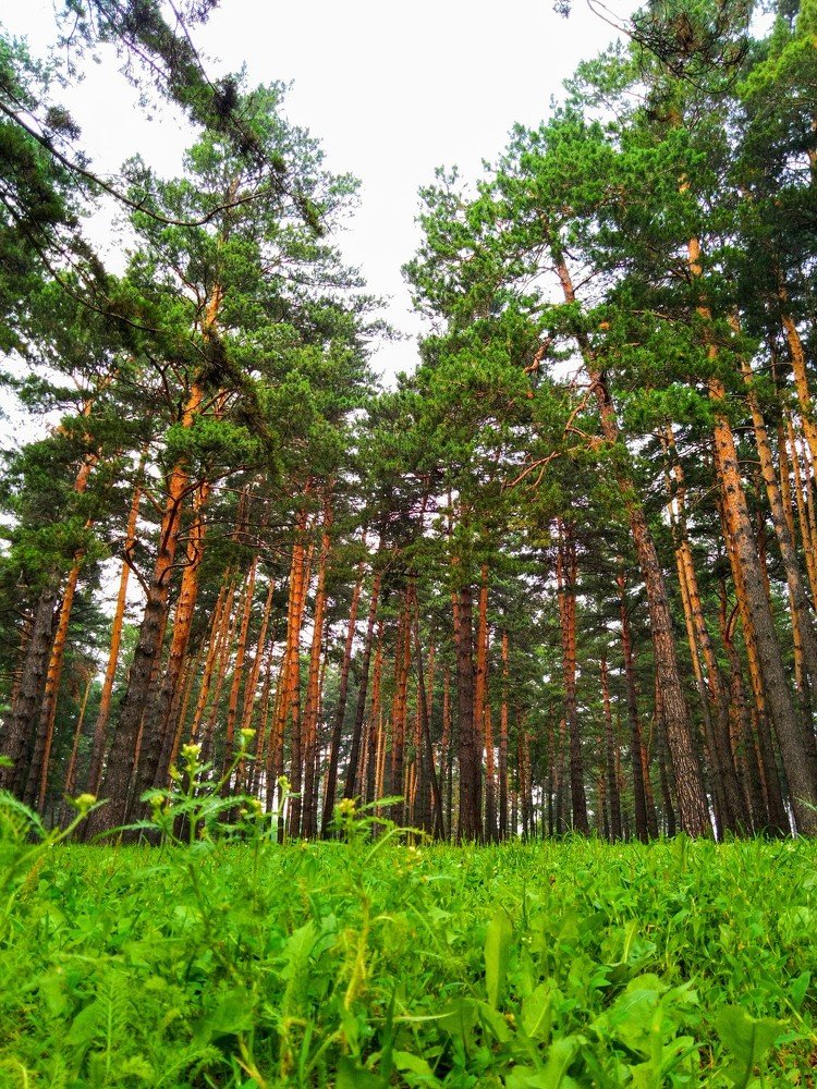 Photograph by Марина Чусова