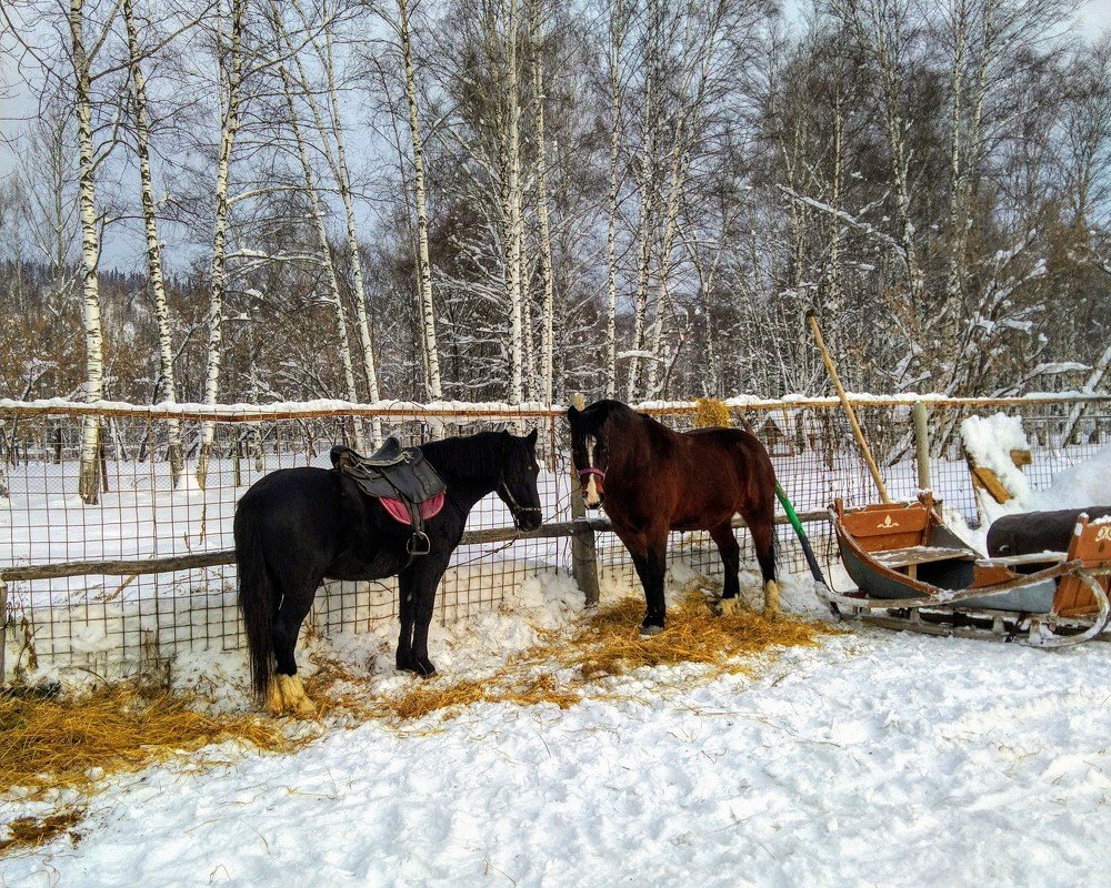 Photograph by Марина Чусова