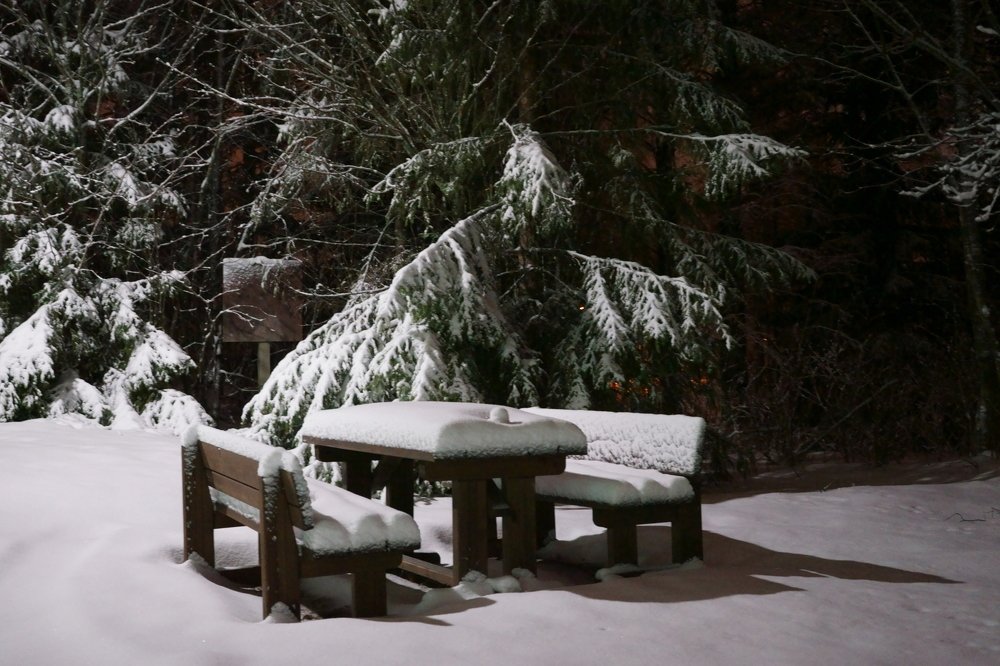 Photograph by Елена Шмарловская