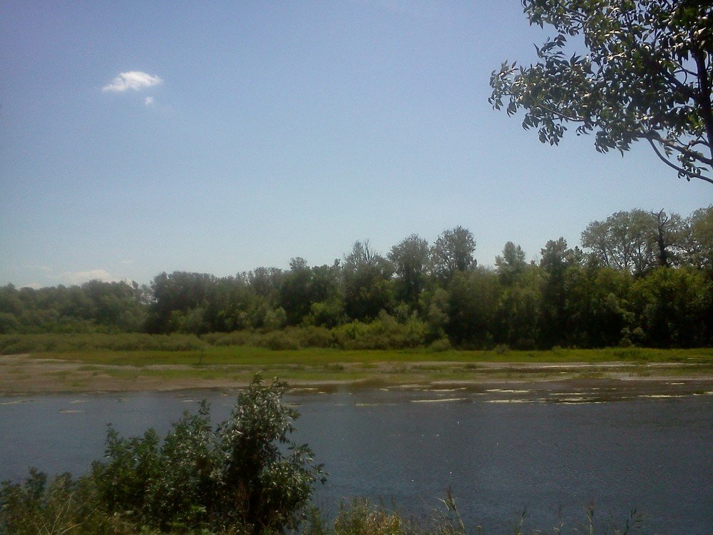 Photograph by карякина мария