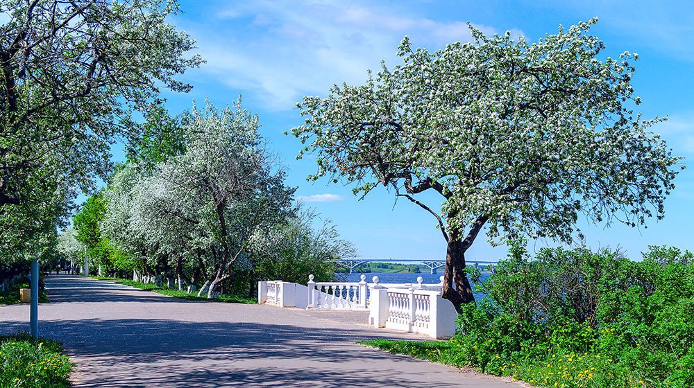 Photograph by Sergey Semashko