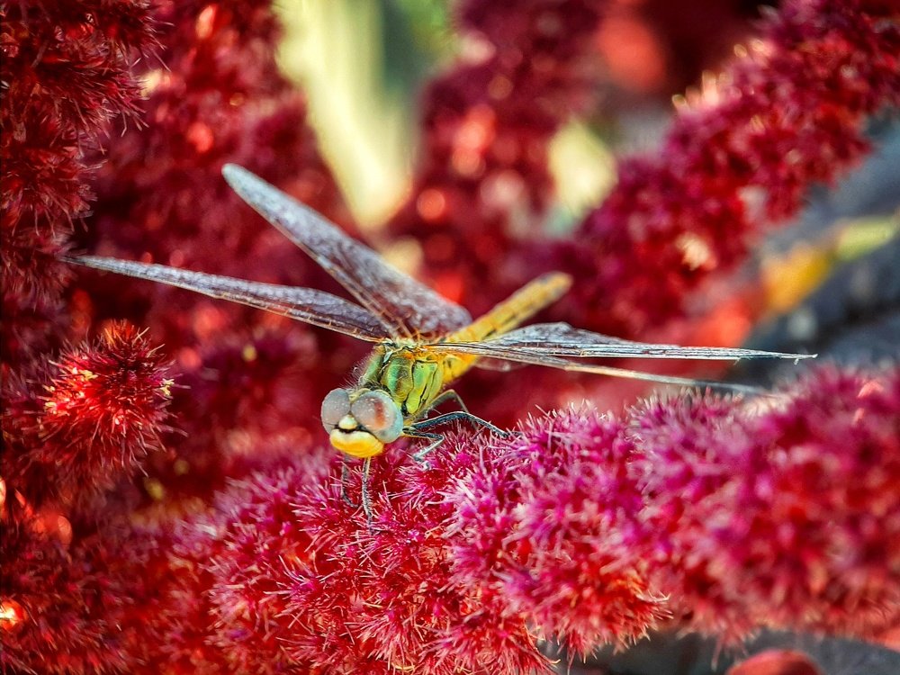 Photograph by Наталья Жданова