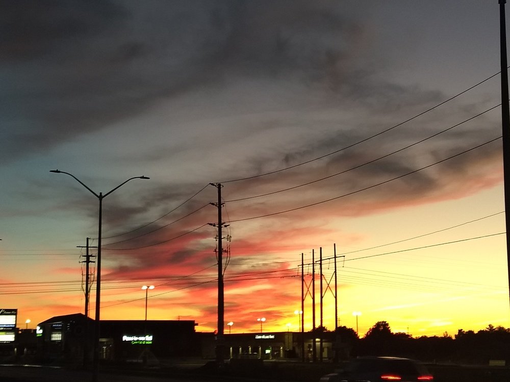 Photo #4246023