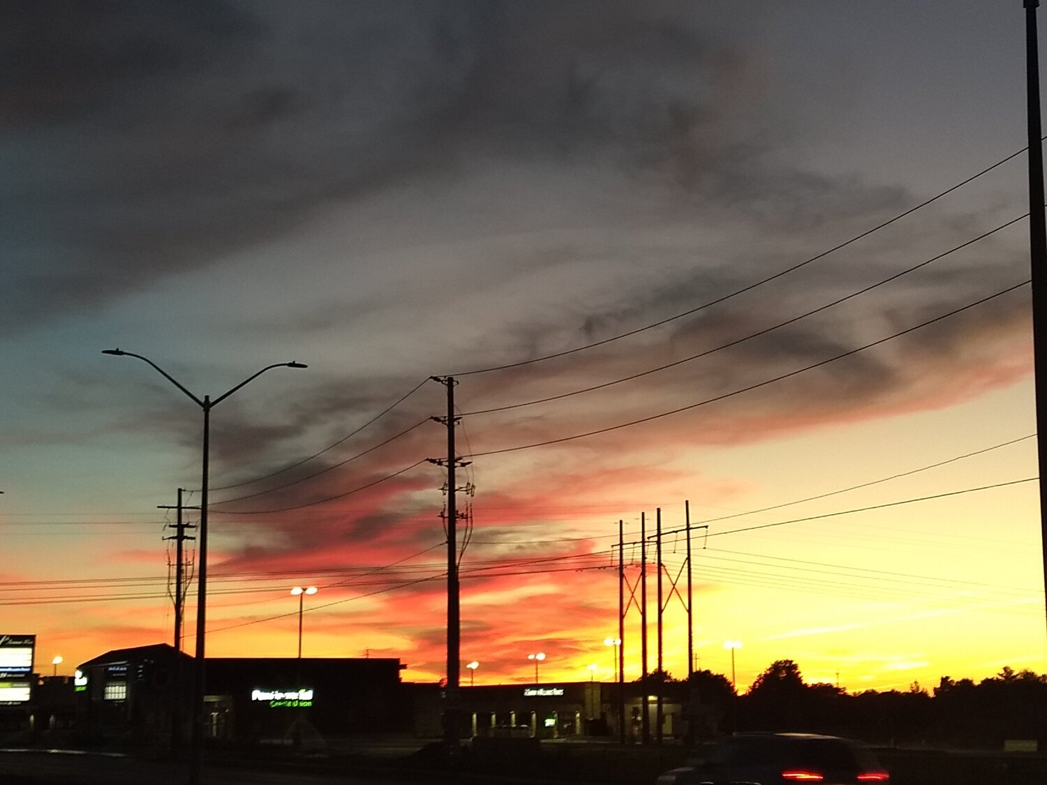 Photo #4246023