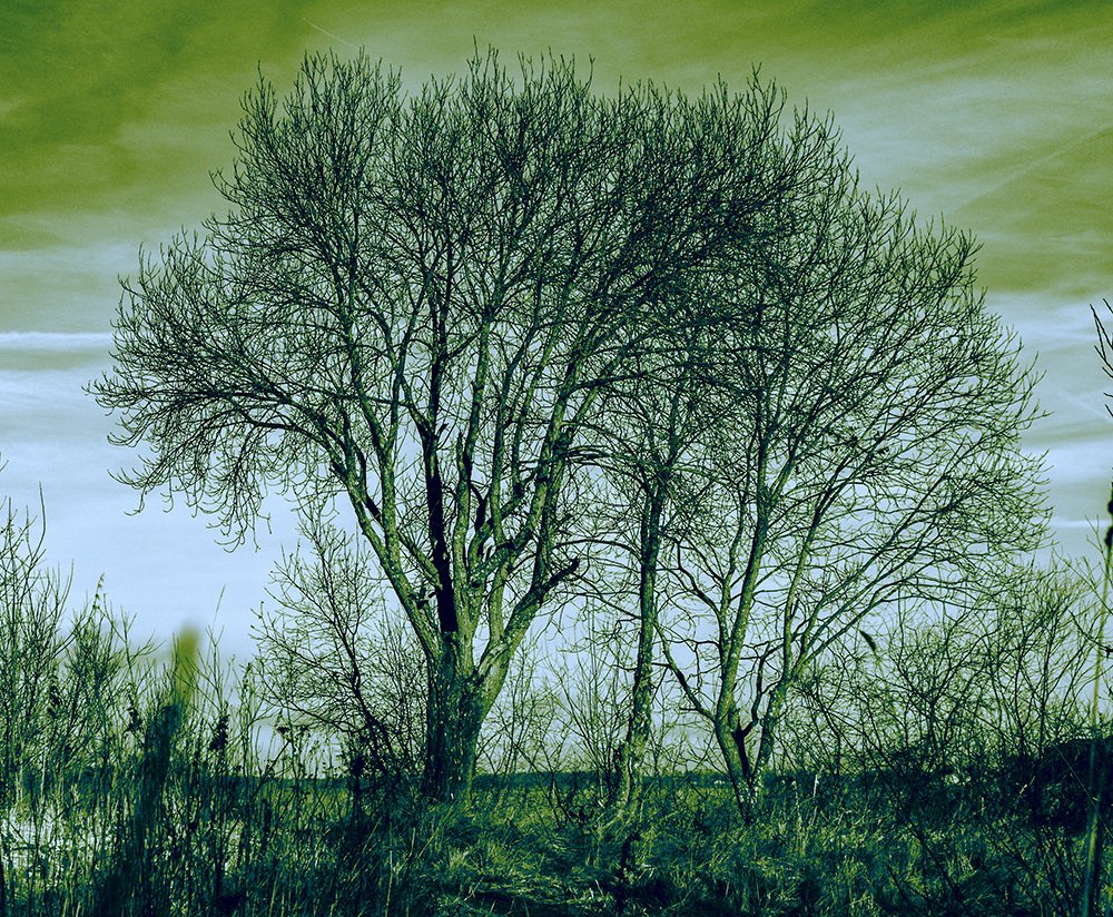 Photograph by Sergey Semashko