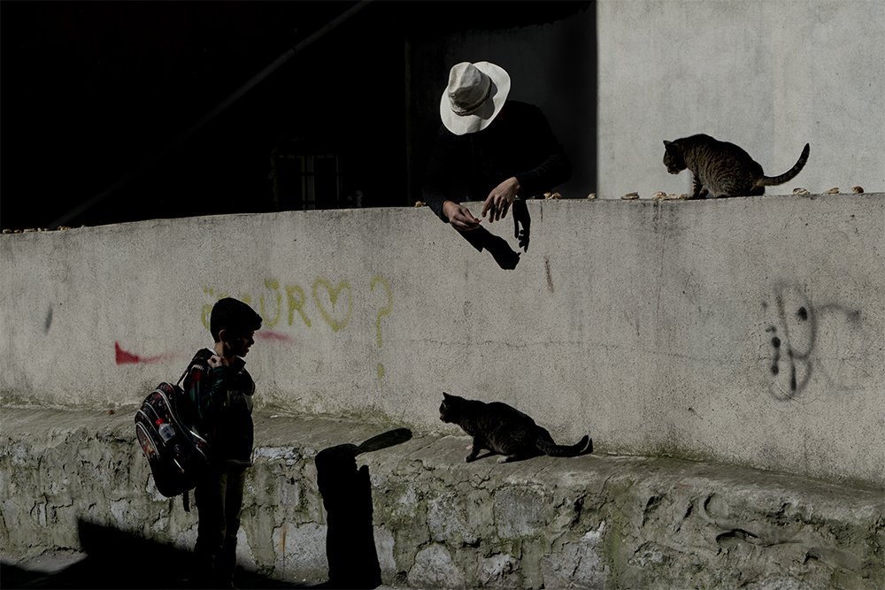 Photograph by Reyhan Turk