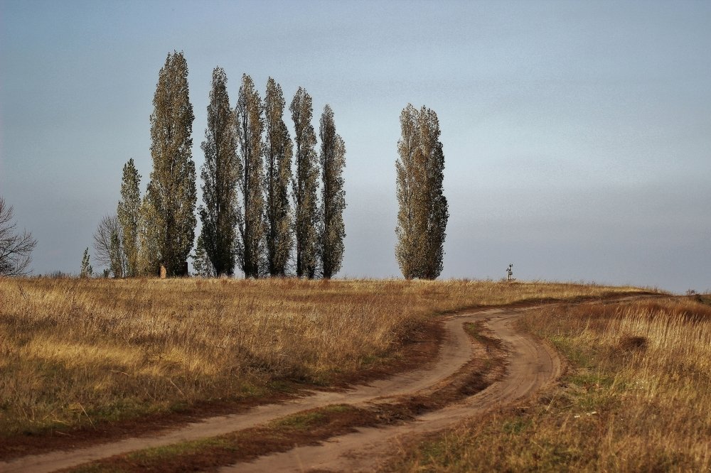 Дорога жизни.