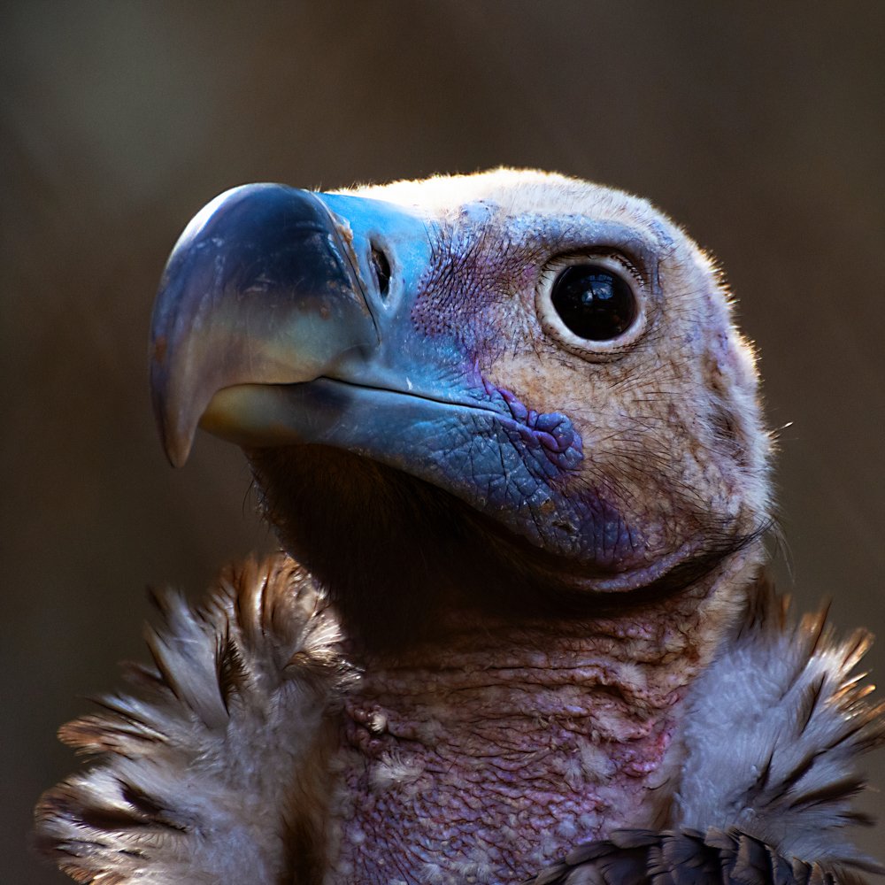 Photograph by David Lerer