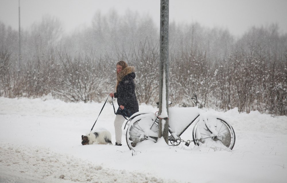 Девушка, велосипед и собака