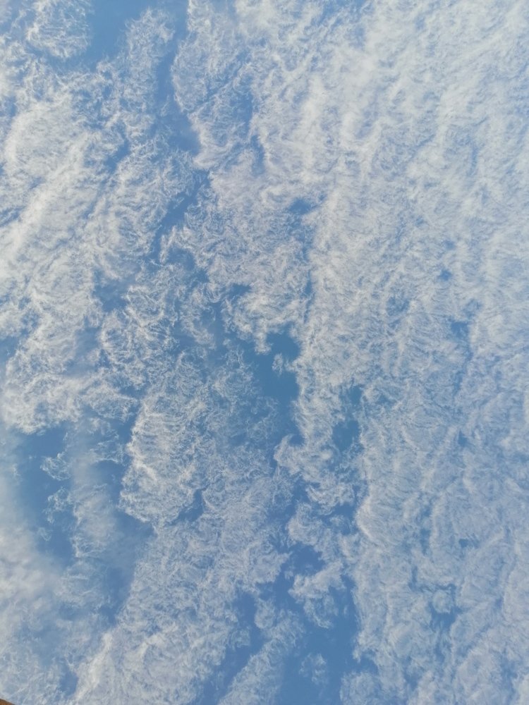 Photo #4246153