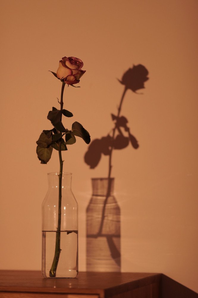 Photograph by Karine Sarkisian