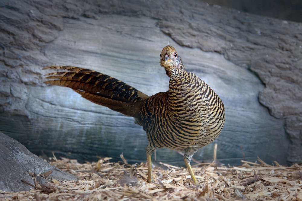 Photograph by Ludmila Buyanova