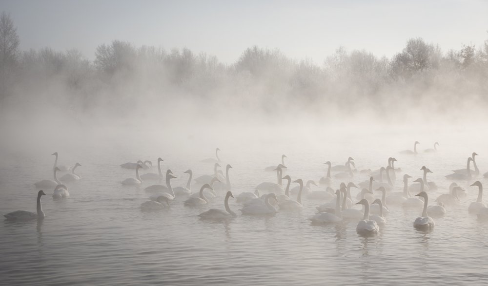 Photograph by Кристина Сотникова