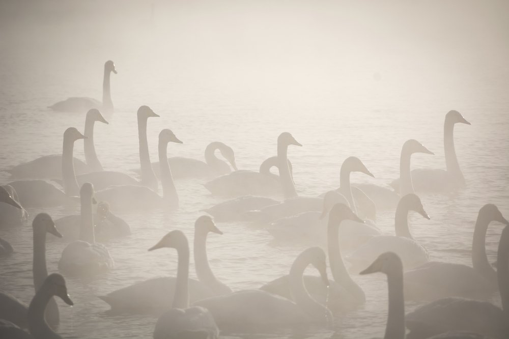 Photograph by Кристина Сотникова