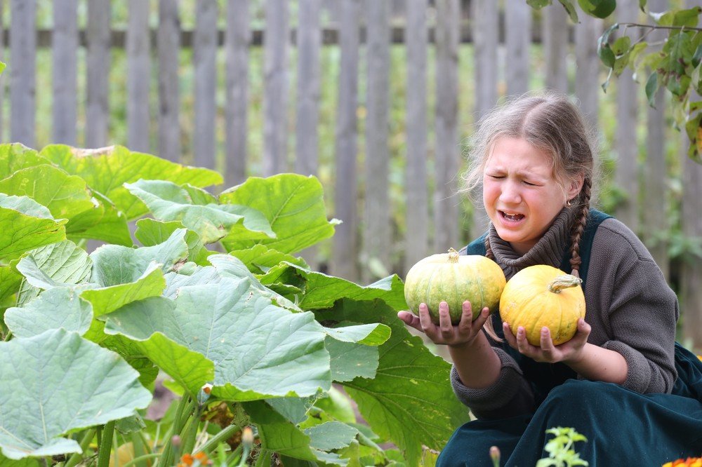 Фотография автора Лариса Шарина