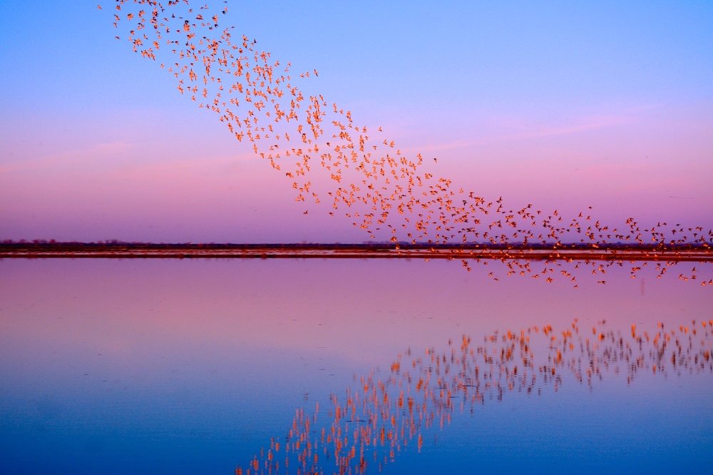 Фотография автора Bachir Badaoui