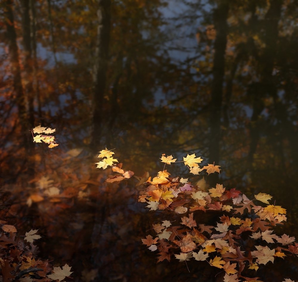 Photograph by Lana Medved