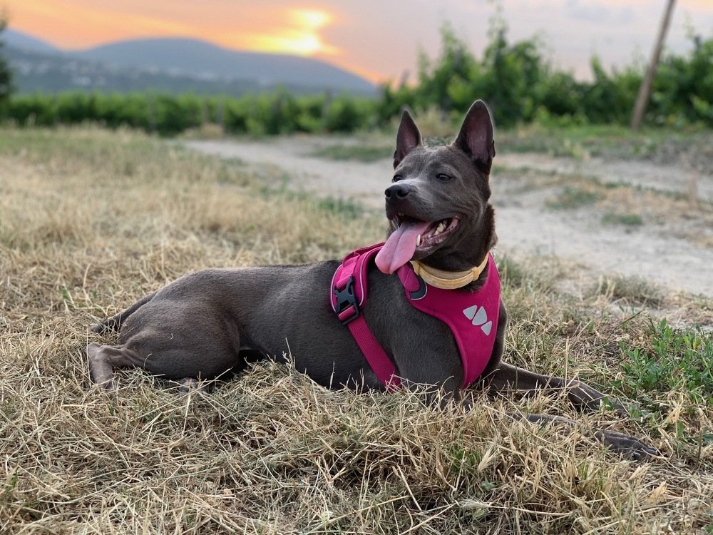 Photograph by Татьяна