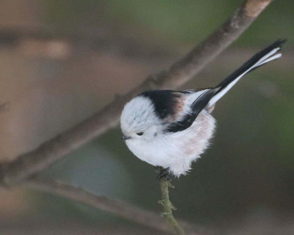 Photograph by Евгения Малафеева