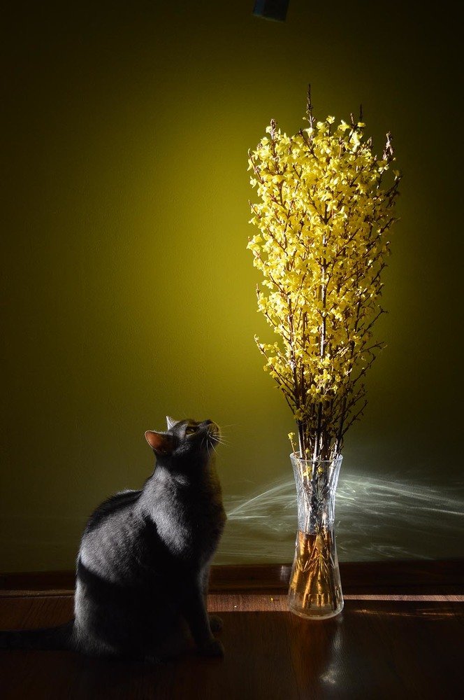 Photograph by Ксения