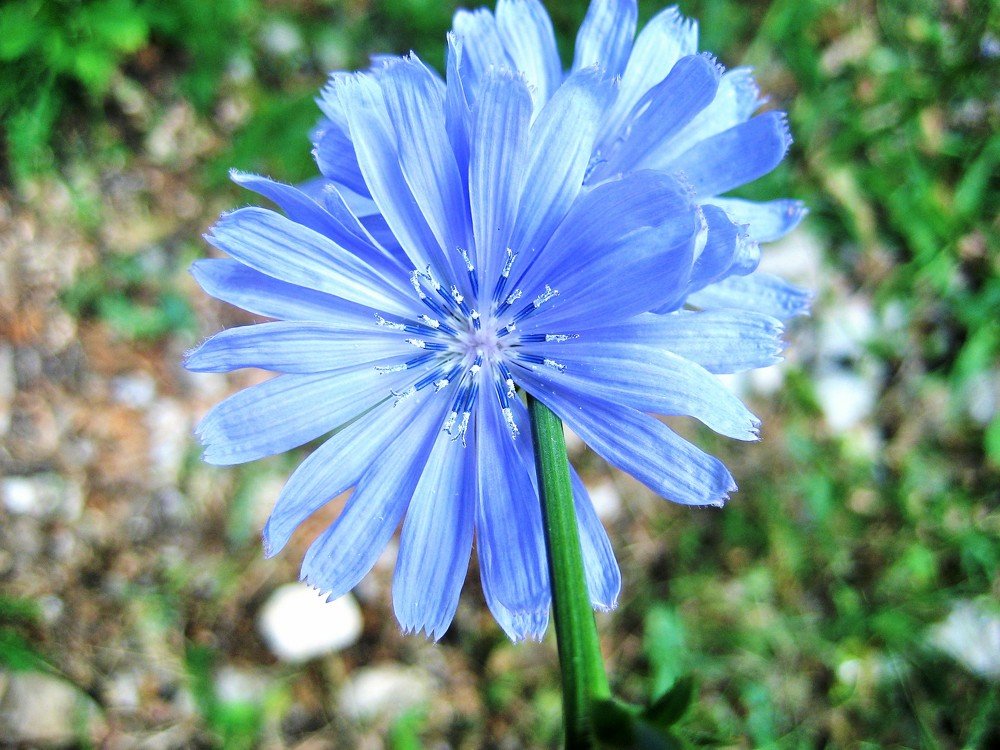 Photograph by Антонида Прокопьева