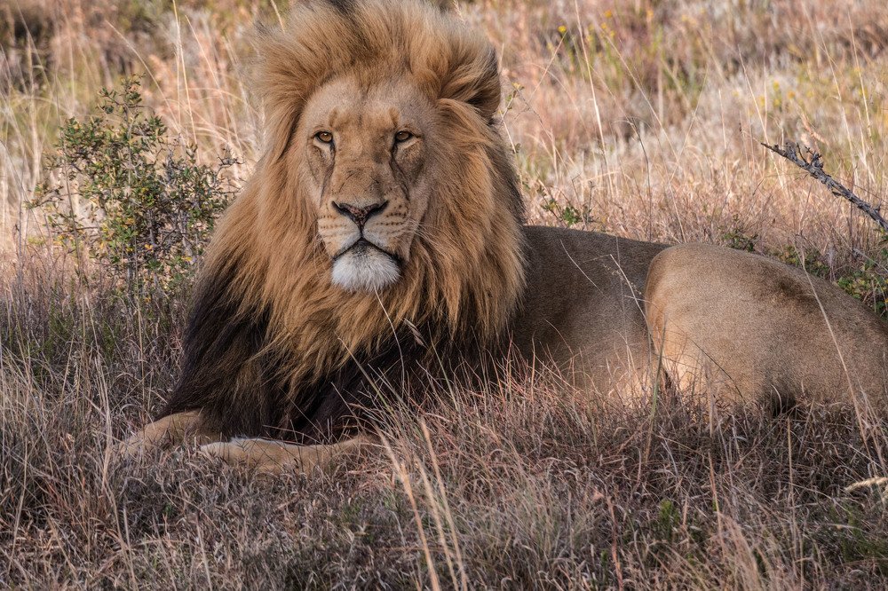 Photograph by Victor Belokrinitski