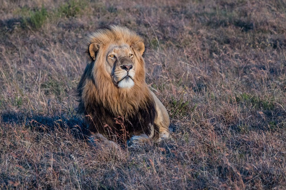 Photograph by Victor Belokrinitski