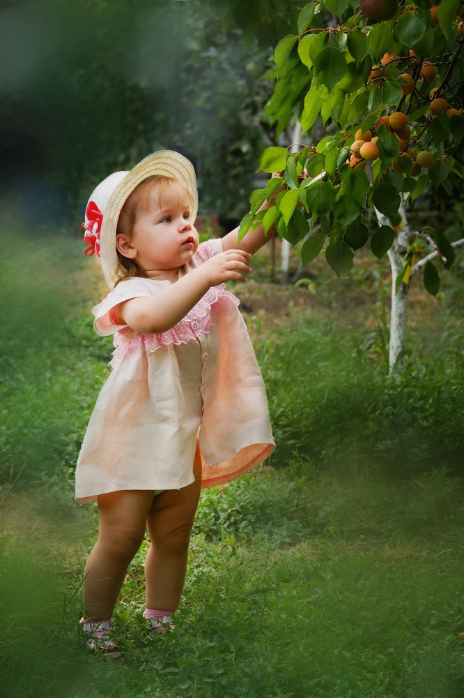 "Весёлый и вкусный день на даче"