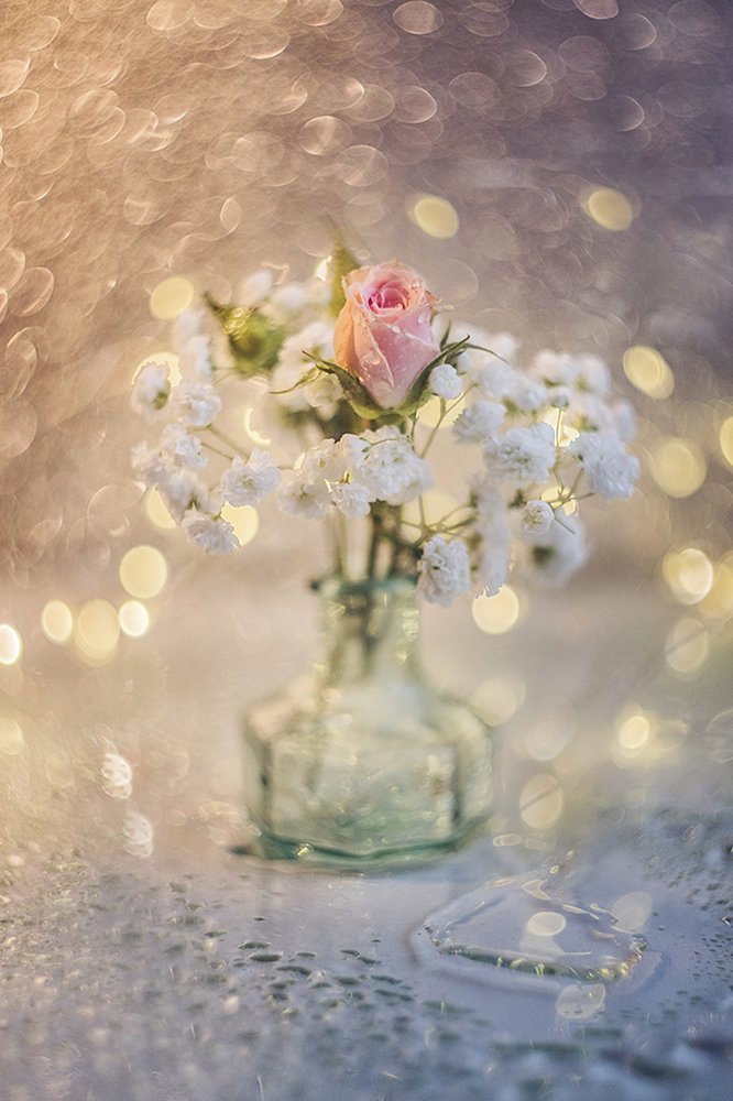 Photograph by Ксения Орлова