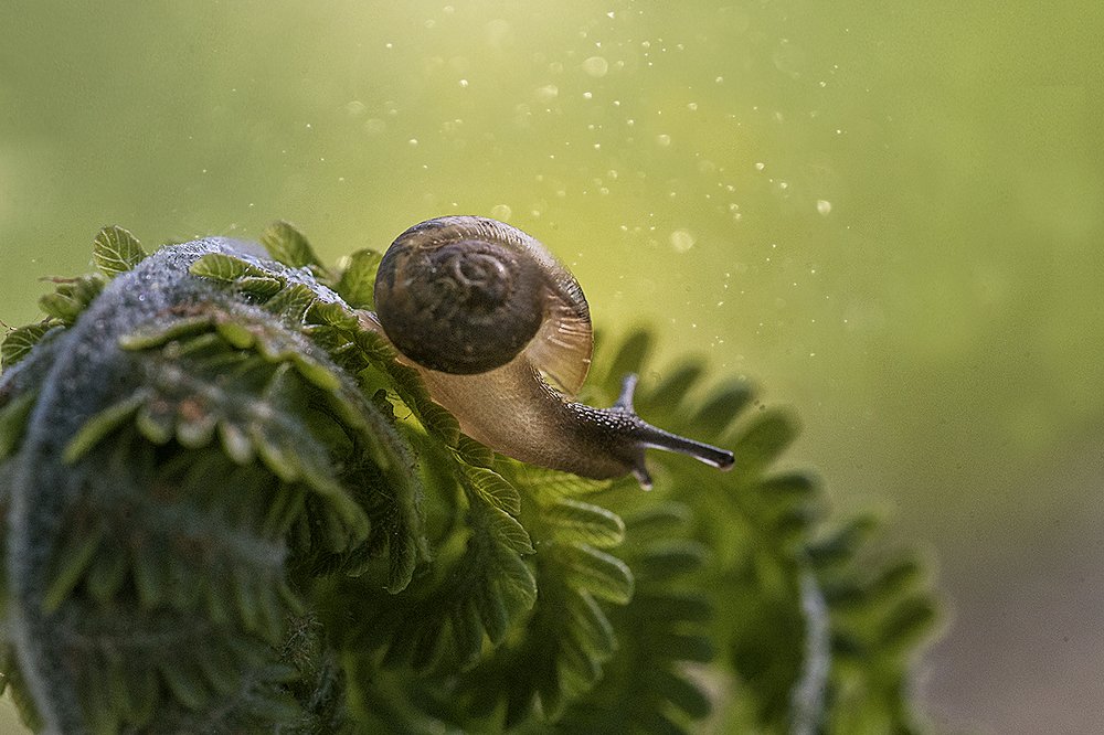 Photograph by Ксения Орлова