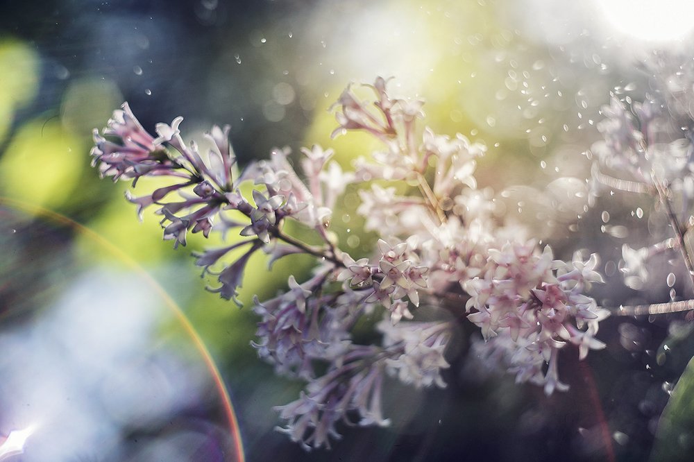 Photograph by Ксения Орлова