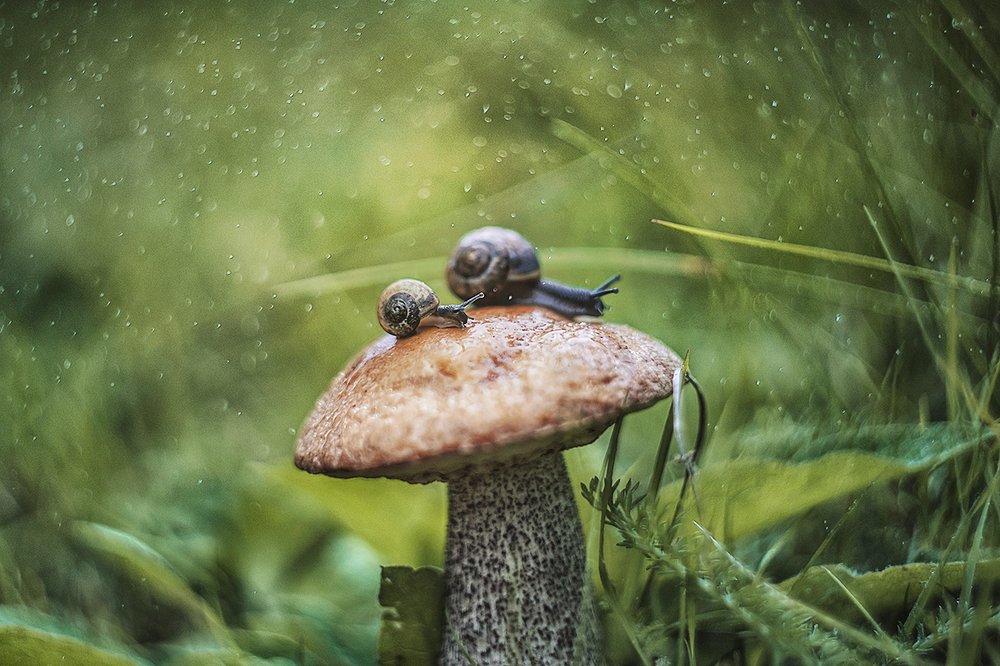 Photograph by Ксения Орлова