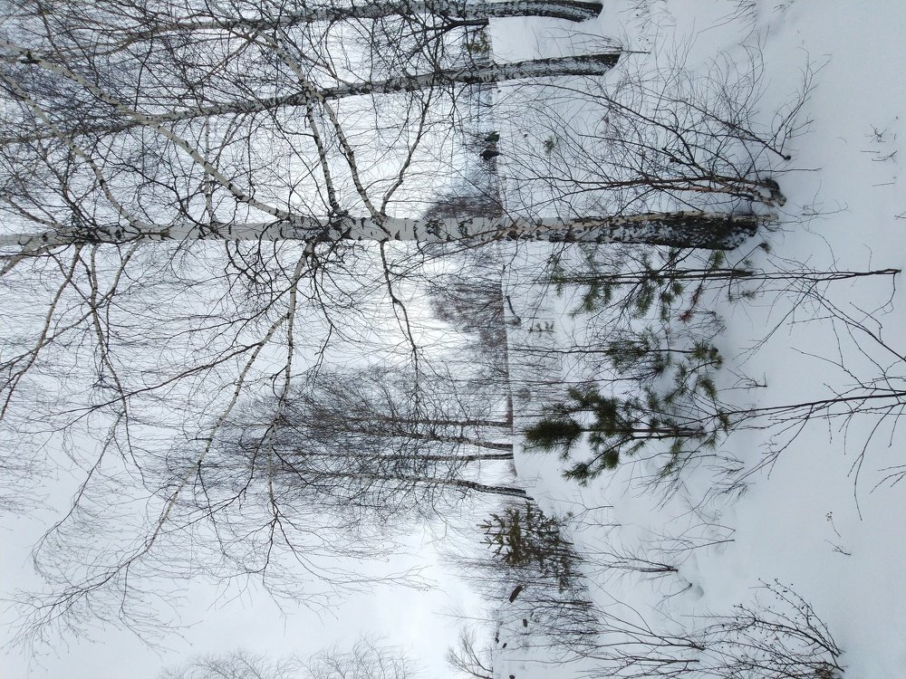 Зимний парк