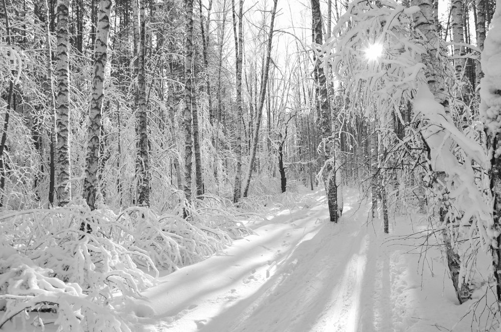На встречу с солнцем
